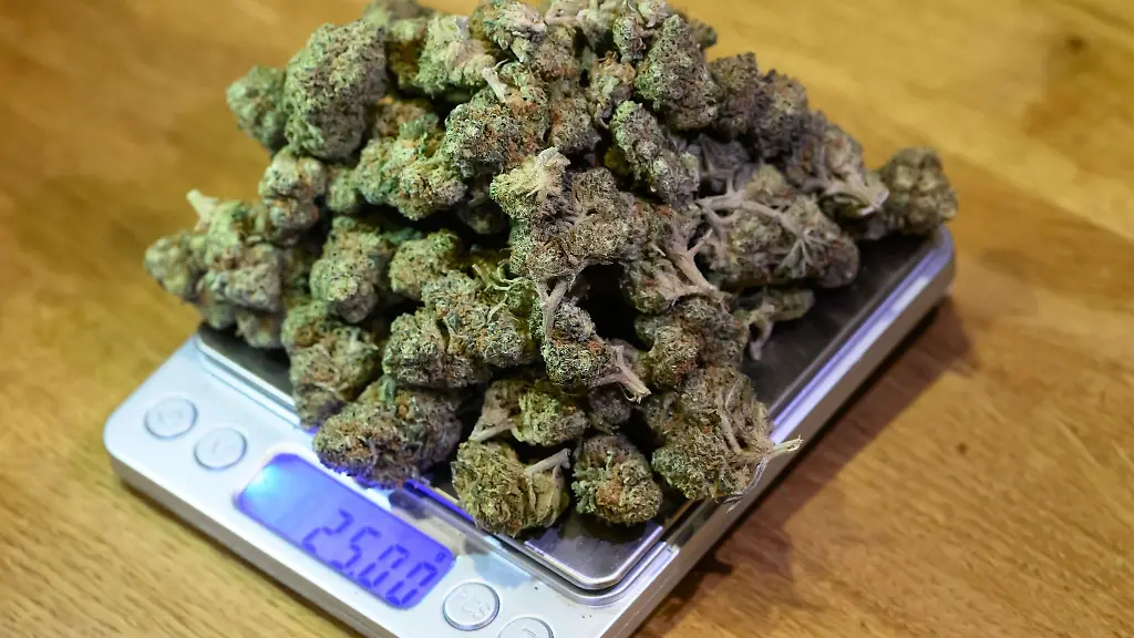 25-Gramm-Cannabisblueten-liegen-auf-einer-Waage