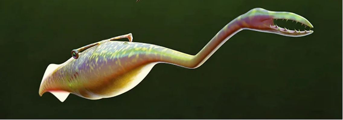 Tully-Monster.PNG