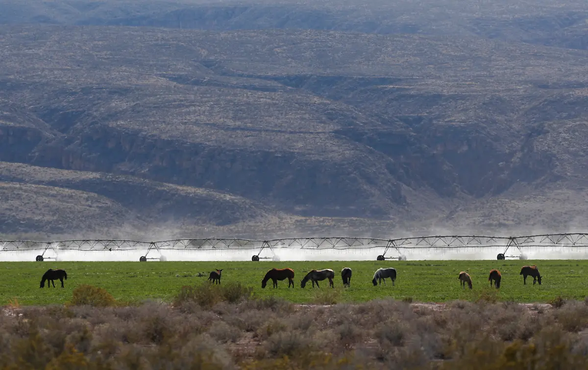 2024-03-18T000000Z-371541631-RC2JO6A9SPWQ-RTRMADP-3-WATER-DAY-MEXICO