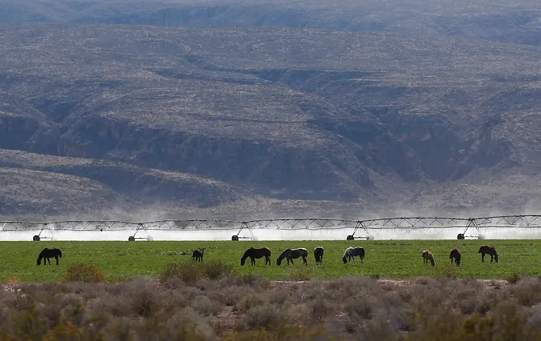 2024-03-18T000000Z-371541631-RC2JO6A9SPWQ-RTRMADP-3-WATER-DAY-MEXICO