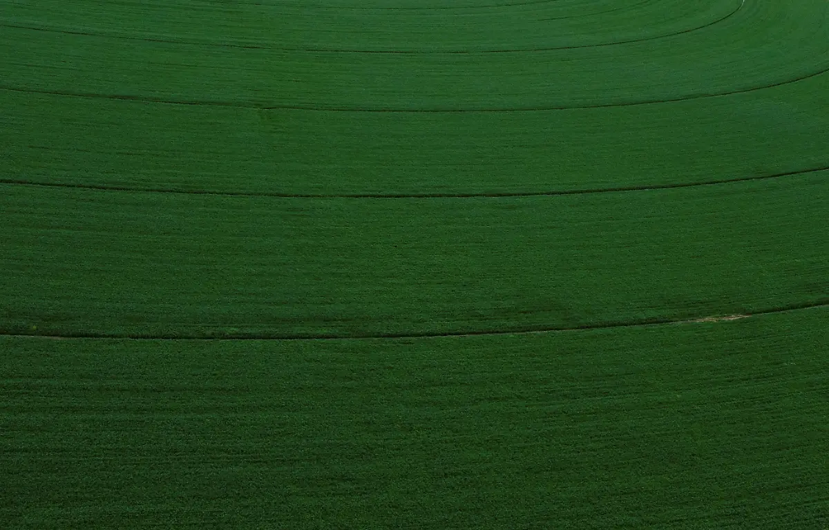 2024-03-18T000000Z-751626217-RC2AO6AIZAYE-RTRMADP-3-WATER-DAY-MEXICO