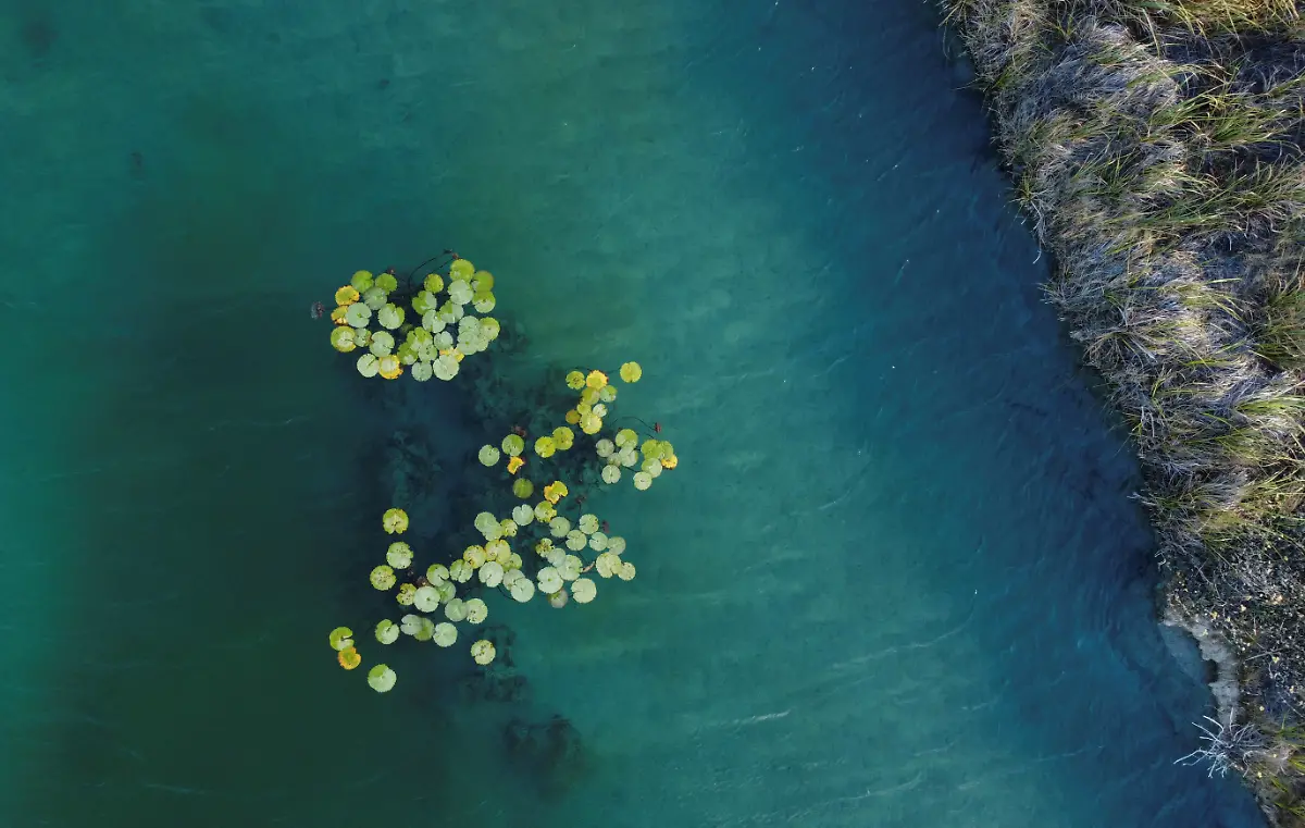 2024-03-19T000000Z-1220534267-RC25P6A0TIW2-RTRMADP-3-WATER-DAY-MEXICO