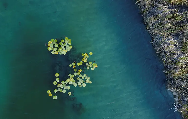 2024-03-19T000000Z-1220534267-RC25P6A0TIW2-RTRMADP-3-WATER-DAY-MEXICO