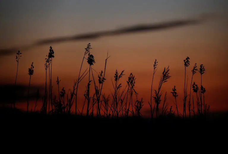 2024-03-19T000000Z-1103984431-RC2BP6AV0YM5-RTRMADP-3-WATER-DAY-MEXICO