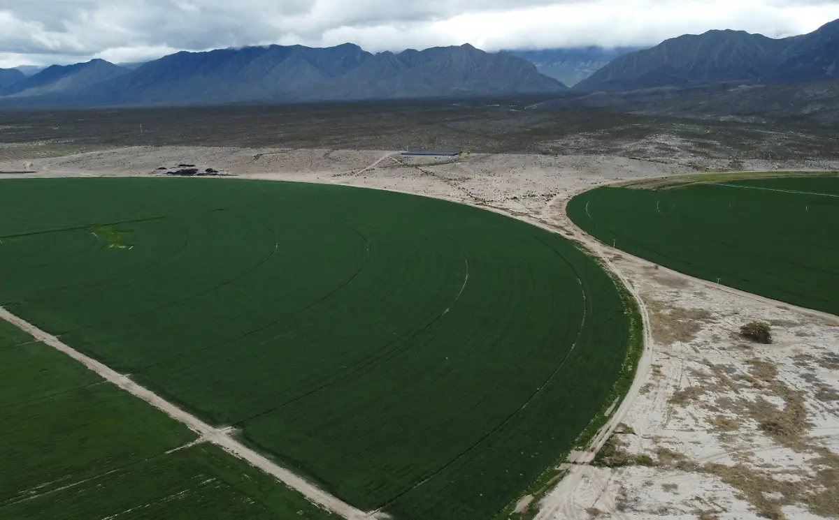 area-of-alfalfa-crops-and-other-agricultural-activities2