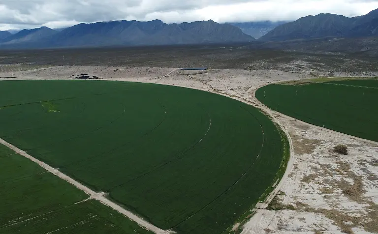 area-of-alfalfa-crops-and-other-agricultural-activities2