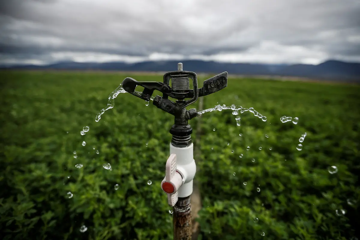 2024-03-21T120235Z-870314364-RC2EO6AW3AW9-RTRMADP-3-WATER-DAY-MEXICO