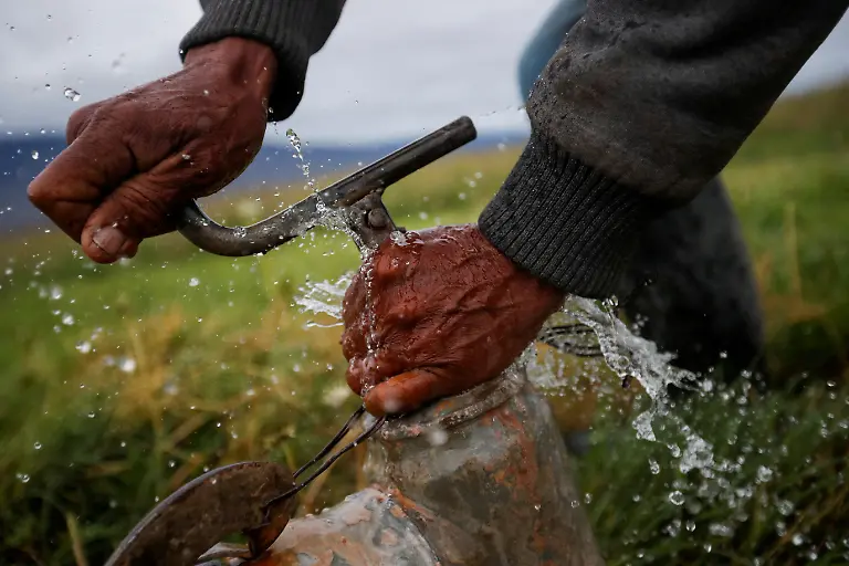 Farmer-Mario-Lopez-turns-off-an-irrigation-faucet-while-working-in-his-fields-of-alfalfa-and-other-agricultural-products