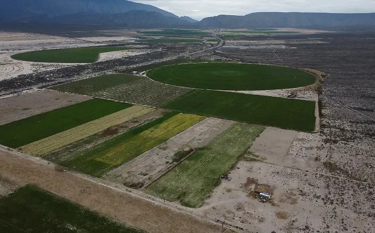 A-drone-view-shows-an-area-of-alfalfa-crops-and-other-agricultural-activities-near-the-ancient-oasis-of-Cuatro-Cienagas