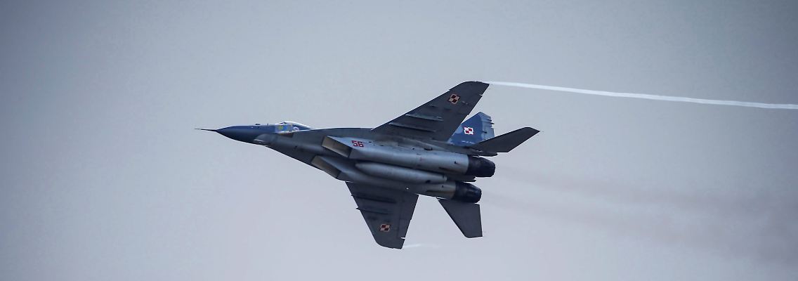 a984d5f42aaf9eadd251d007d3ffb4c1.jpg