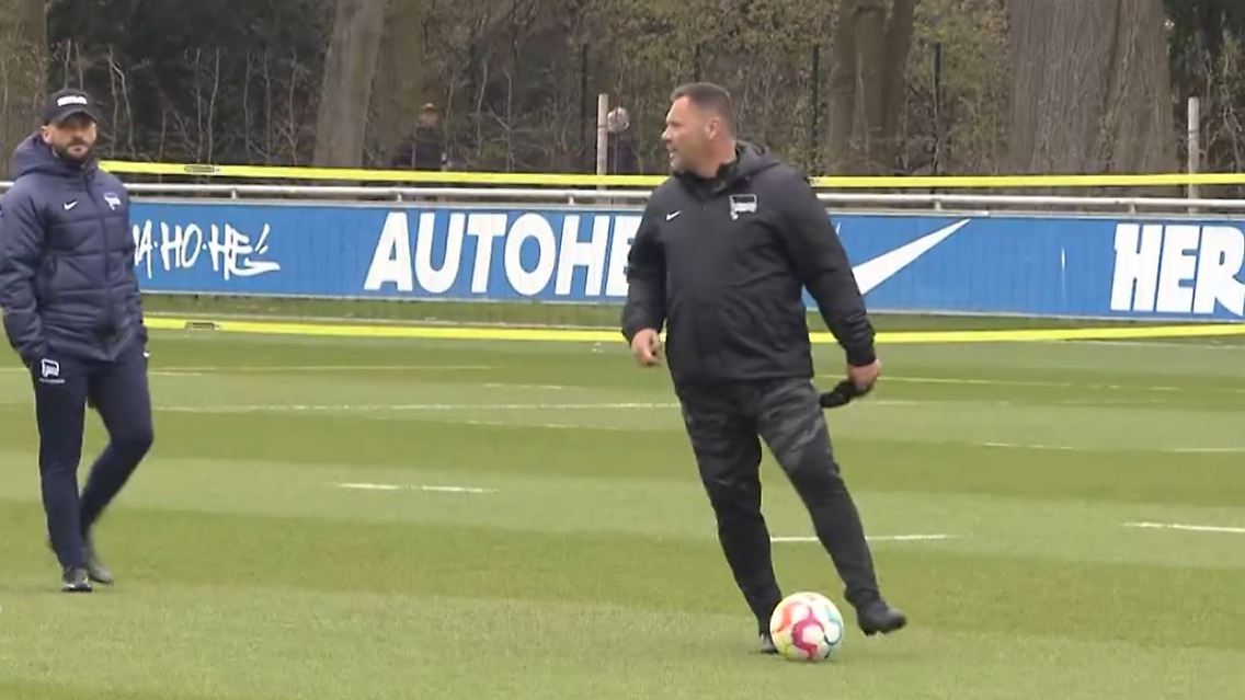 Dardai.JPG