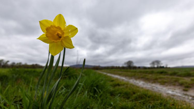 Durchsetzen kann der Frühling sich erst am nächsten Wochenende.