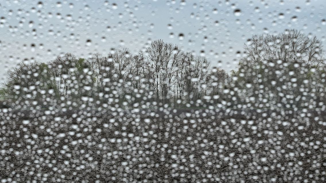 404669422.jpg