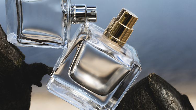 Diese Parfums sind budgetfreundlich und begeistern trotzdem mit ihren Duftnoten.