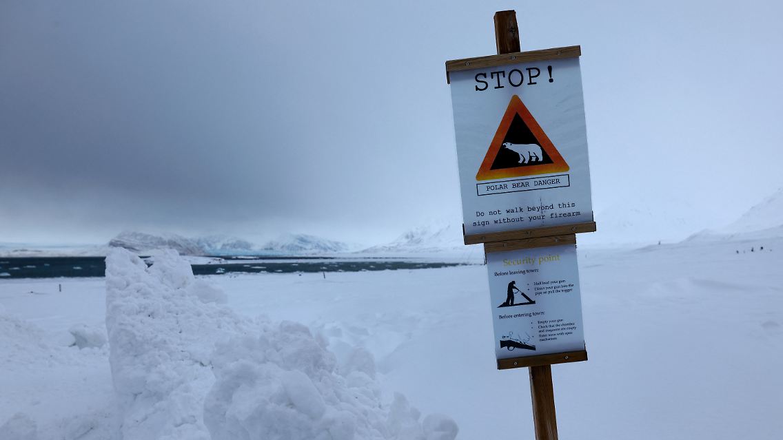Acht Wächter patrouillieren abwechselnd im Umkreis von Ny-Ålesund, um Eisbären aufzuspüren und sie zu verscheuchen, damit sie nicht ins Zentrum von Ny-Ålesund gelangen.
