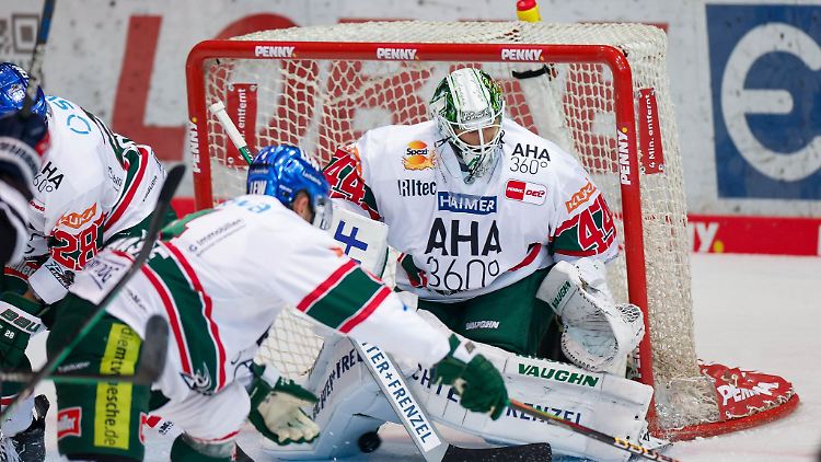 Augsburgs Torhüter Dennis Endras in Aktion.