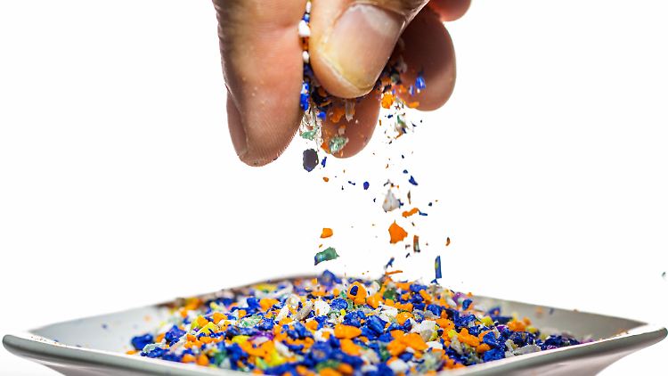 Rückstände von Plastik wurden mittlerweile in den entlegensten Winkeln der Erde nachgewiesen - aber auch im menschlichen Körper.