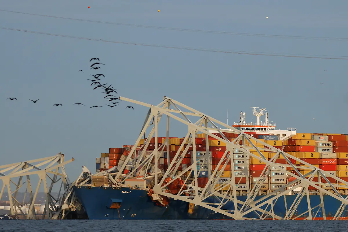 08fc2c074b551df075b63dbd9fa4e31e