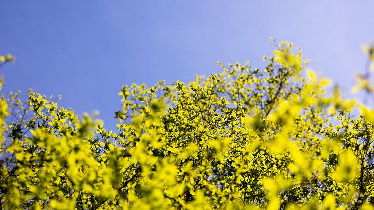 Der Frühling ist da. Ein Grund mehr für Hoffnung