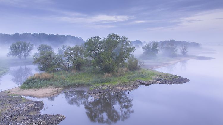 Ursprüngliches Deutschland: das Biosphärenreservat Niedersächsische Elbtalaue.