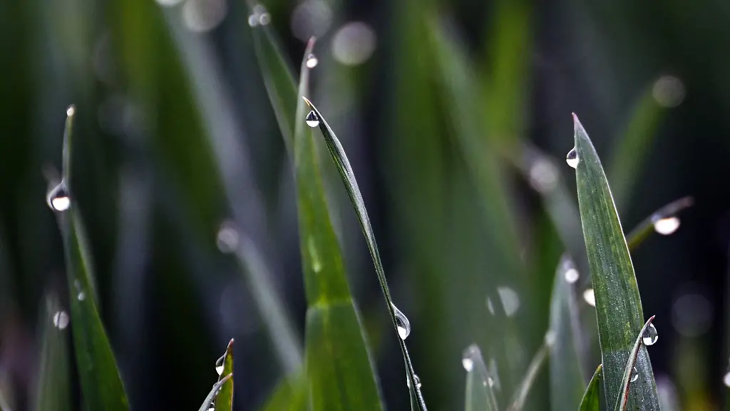 Wechselhaftes-Wetter-in-den-kommenden-Tagen