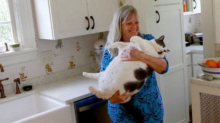 Wer kuscheln will, braucht Muckis: Kay Ford mit ihrem neuen Kater.