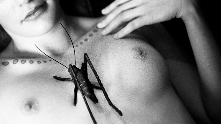 Nude with Insect, Paris, France 1982