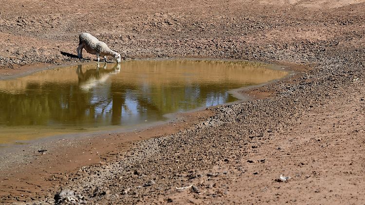Trockenheit in Australien: Dort kommt es laut WMO durch El Niño öfter zu starken Dürren.
