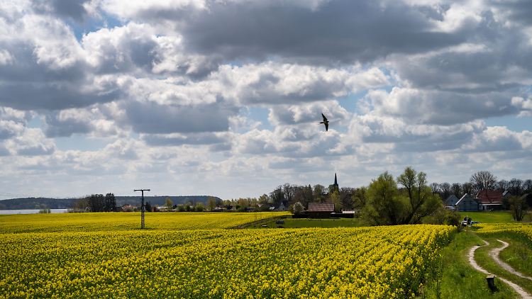 Der nächste Wetterwechsel steht an.