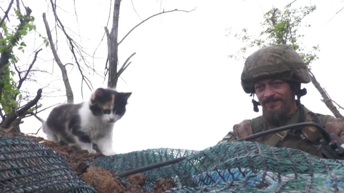 KatzenSchützengraben.JPG