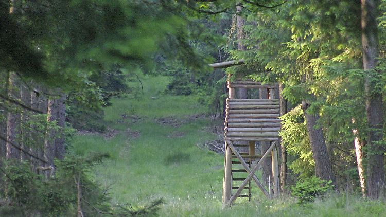 Ein Jäger hörte im Schaumburger Wald die Rufe des gefesselten Mannes.