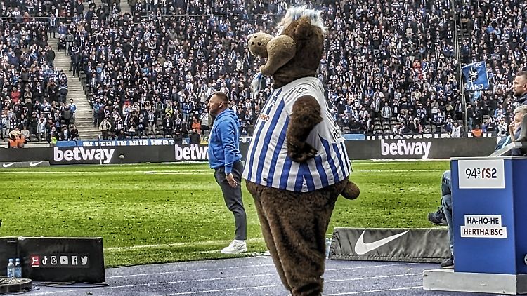 Pal Dardai, Herthinho und die letzten Minuten.