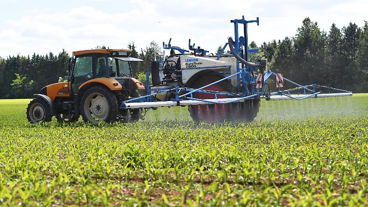 Niedrige Glyphosat-Preise kosten Bayer geplanten Umsatz.