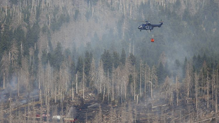 Die Herde der Inflation sollten bekämpft werden, bevor sie "wie ein Waldbrand durchs ganze System rasseln", fordert Isabella Weber. Unter anderem wegen des Klimawandels rechnet sie künftig mit weiteren Schocks für die Wirtschaft.