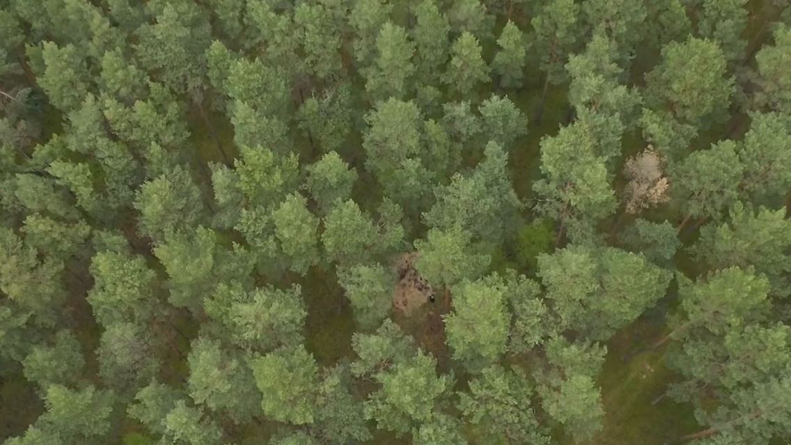 russen_rakete_polen_wald.JPG