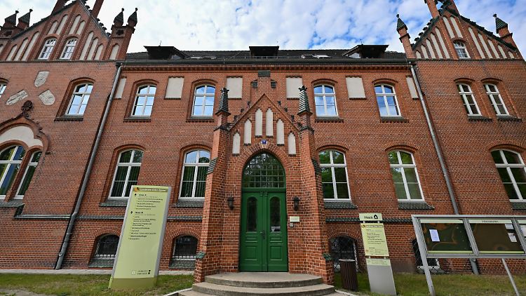 In Brandenburg könnte die AfD ihren ersten Landratsposten erhalten.