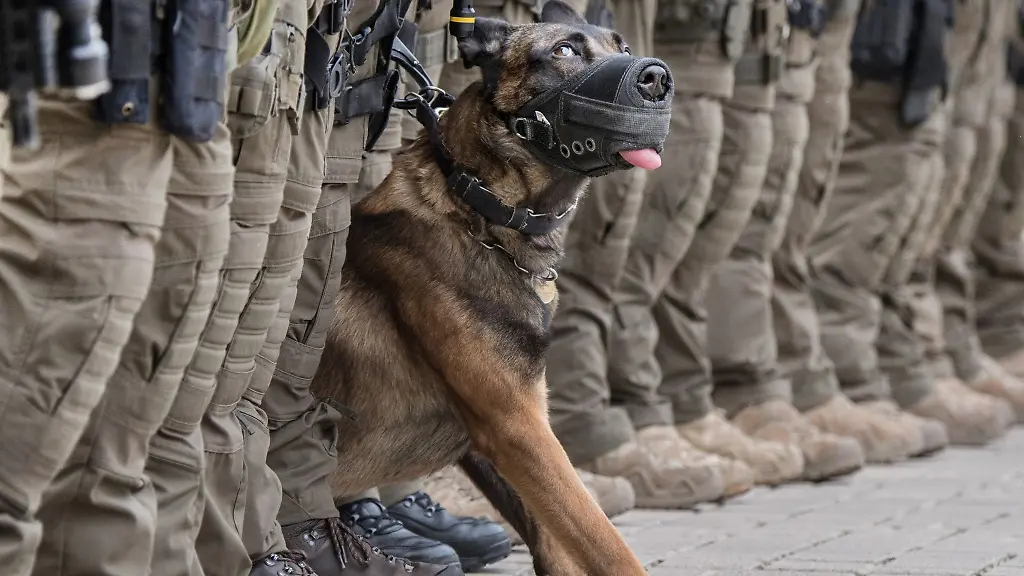 Beamte-des-Spezialeinsatzkommandos-SEK-waehrend-einer-Uebung-mit-Diensthund