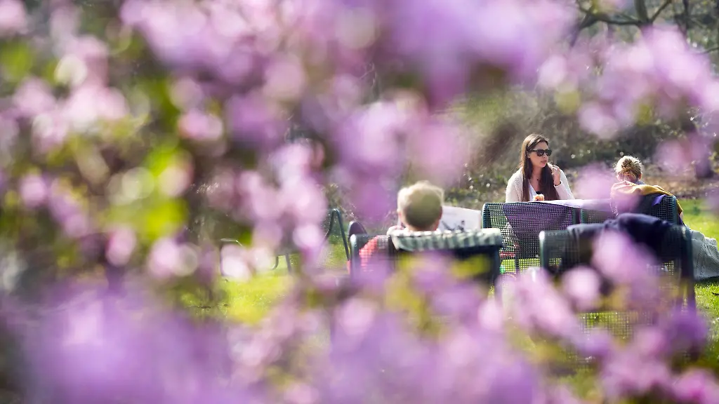 Menschen-sonnen-sich-im-Palmengarten-in-Frankfurt-am-Main-Hessen-und-geniessen-die-fruehlingshaften-Temperaturen
