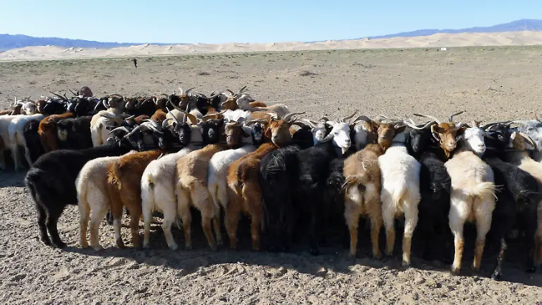 2011-10-13T120000Z-425035965-GM1E7AD1C7O01-RTRMADP-3-MONGOLIA-TOURISM