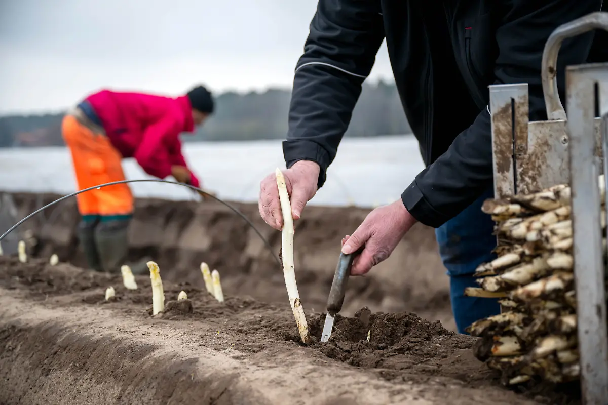 d868eec7e8bc2dad26fd2bdeafb23688