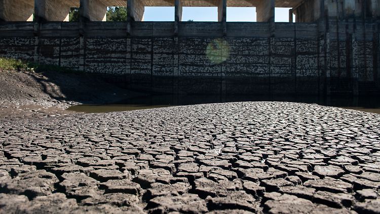 Hohe Temperaturen und lange Trockenphasen sorgten in den vergangenen Jahren in vielen Regionen für schwerwiegende Probleme.