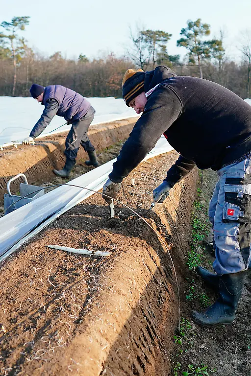 66e07d7d7137313eadea5e12f92b505b