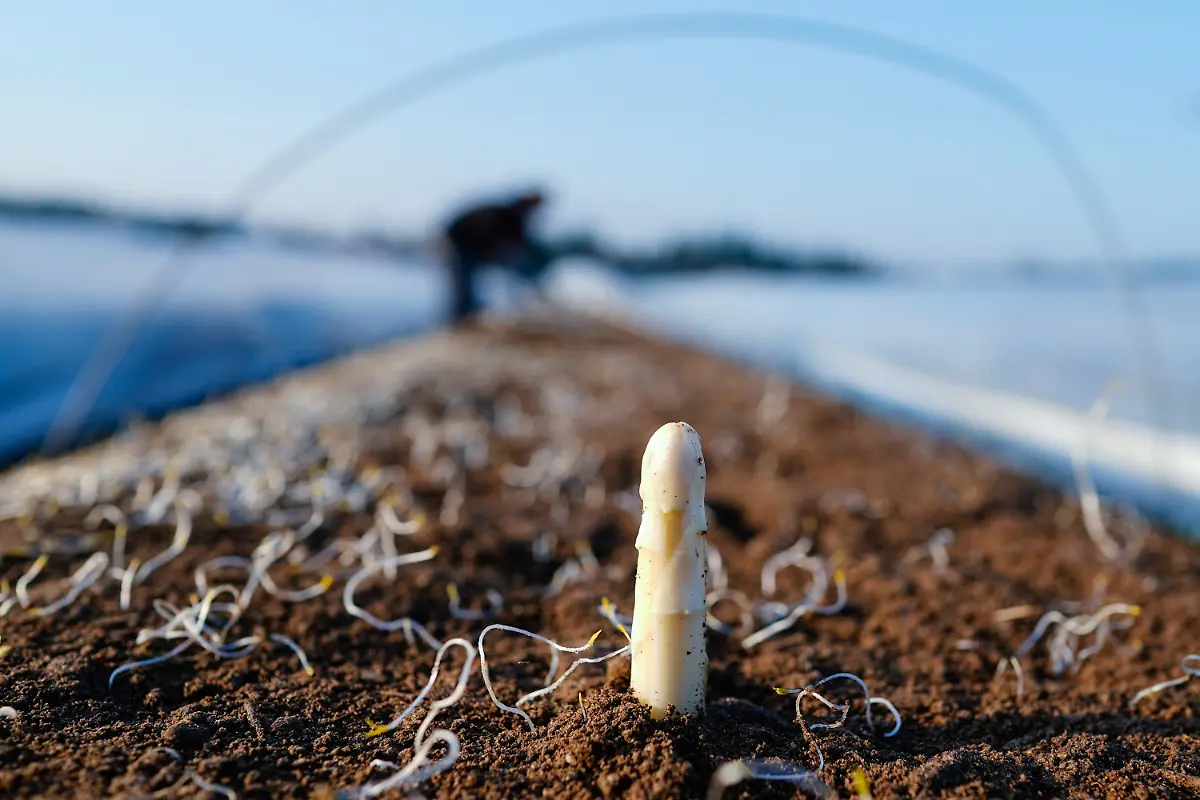 171f9d01c0c3c358468ced536646b032