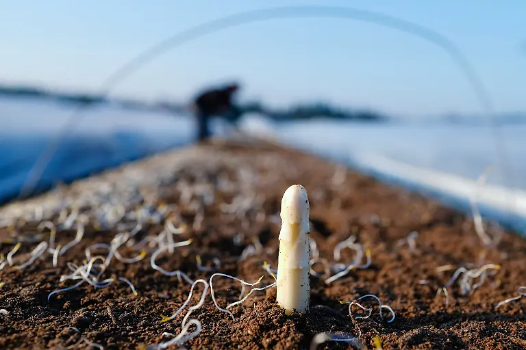 171f9d01c0c3c358468ced536646b032