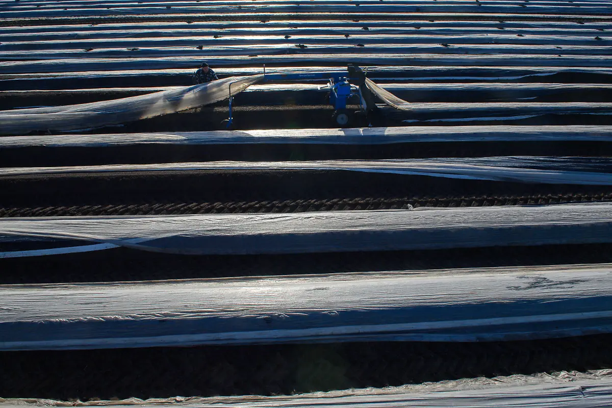 765cc42c6981e9396d0df5b74491cf3c