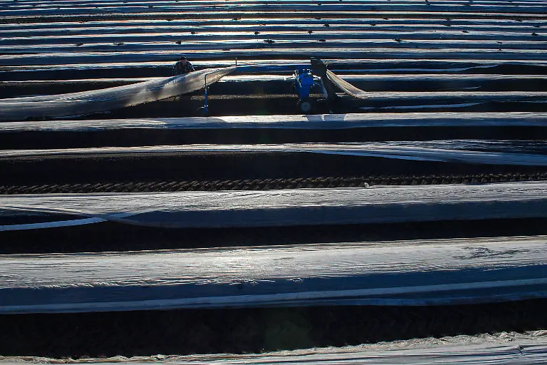 765cc42c6981e9396d0df5b74491cf3c