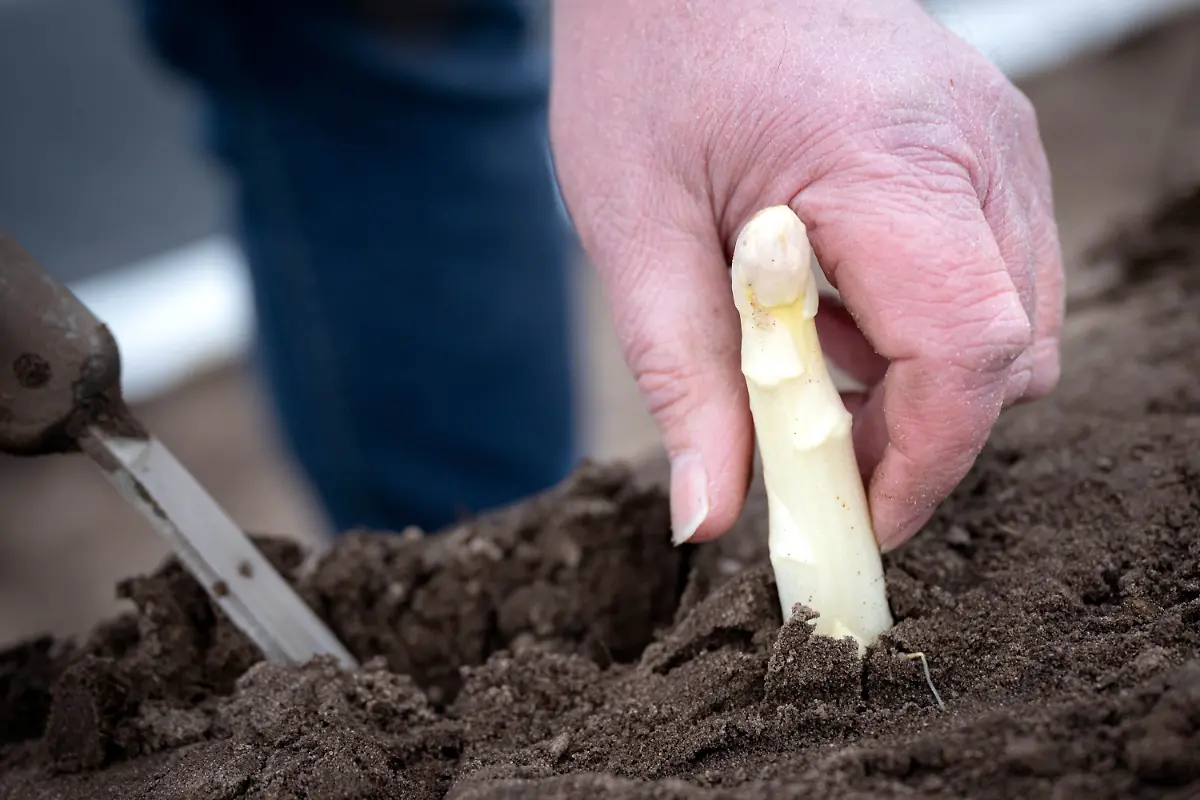 c33b5d84964f8342d57dbe9d99ebaff4