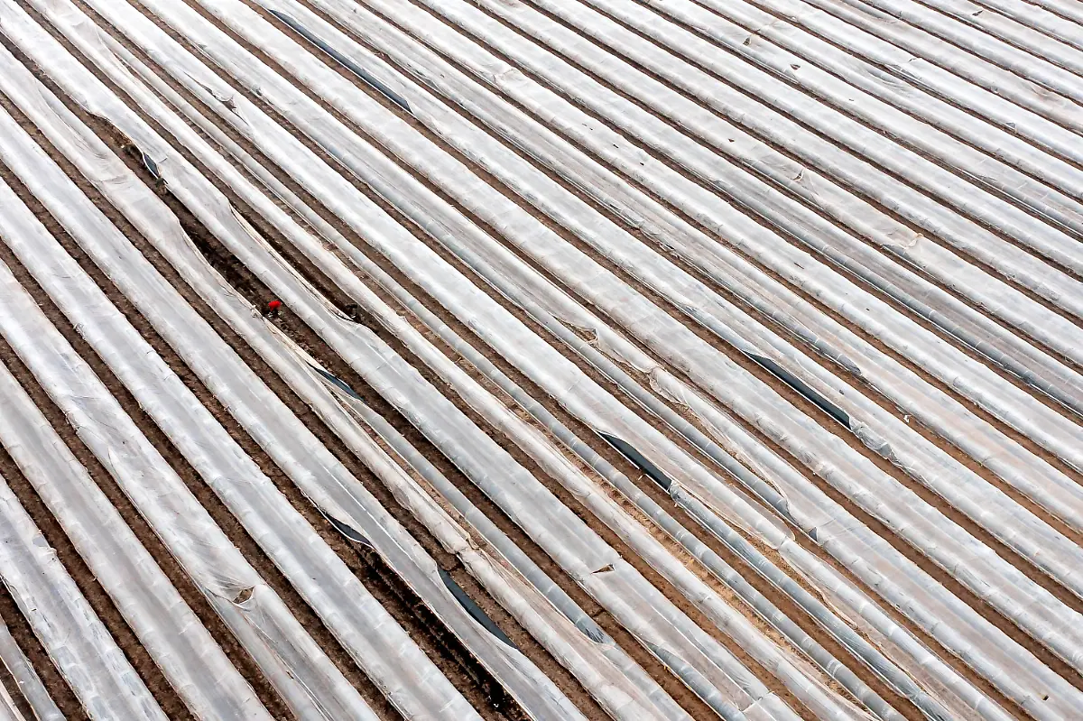 42b8d577353eea8c43e6294ff2ede76c