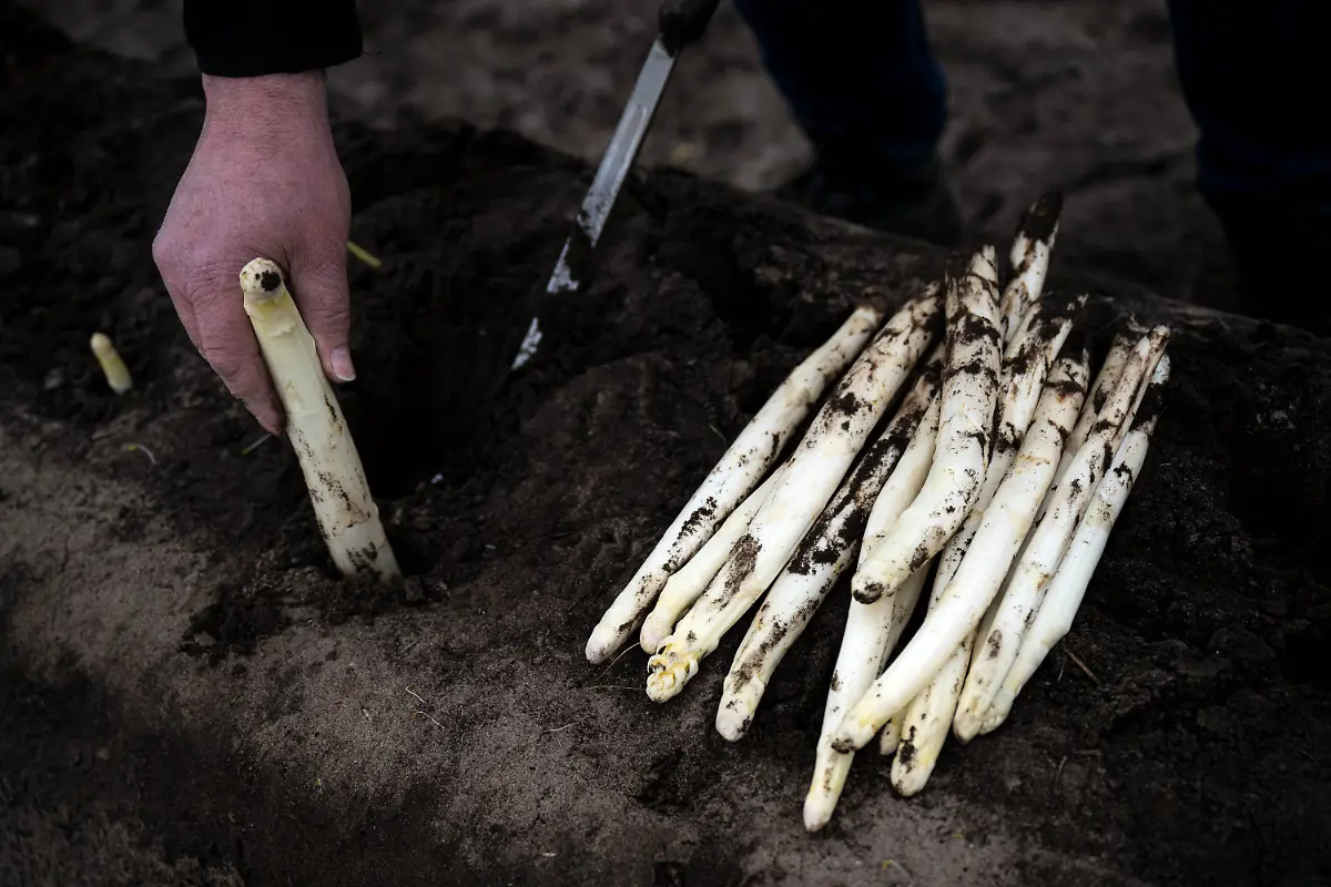 3467f3d2187653e33d57a2aeb809dc53