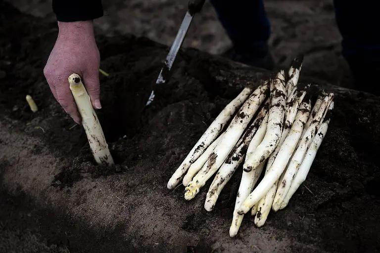 3467f3d2187653e33d57a2aeb809dc53